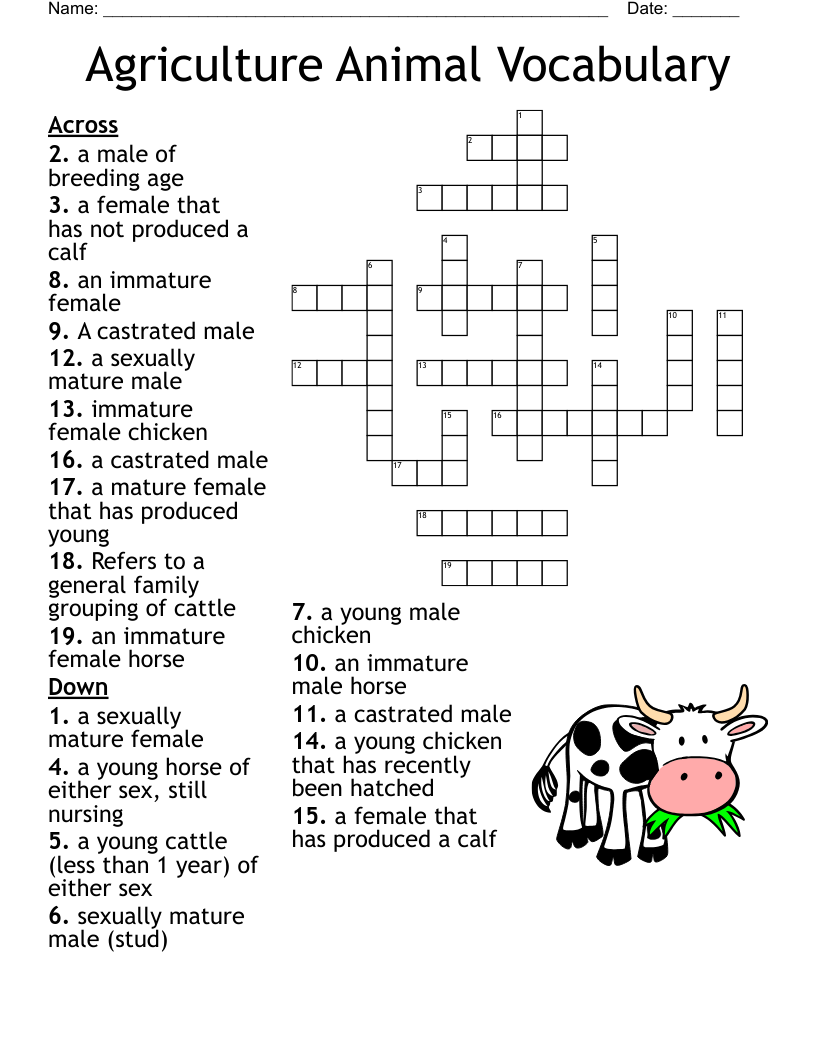 Agriculture Animal Vocabulary Crossword WordMint