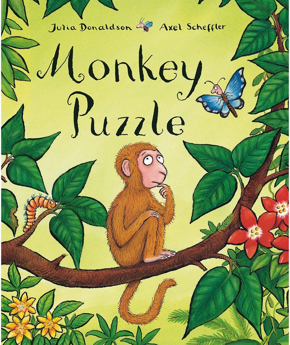 Amazon Monkey Puzzle 9780333720011 Julia Donaldson Books