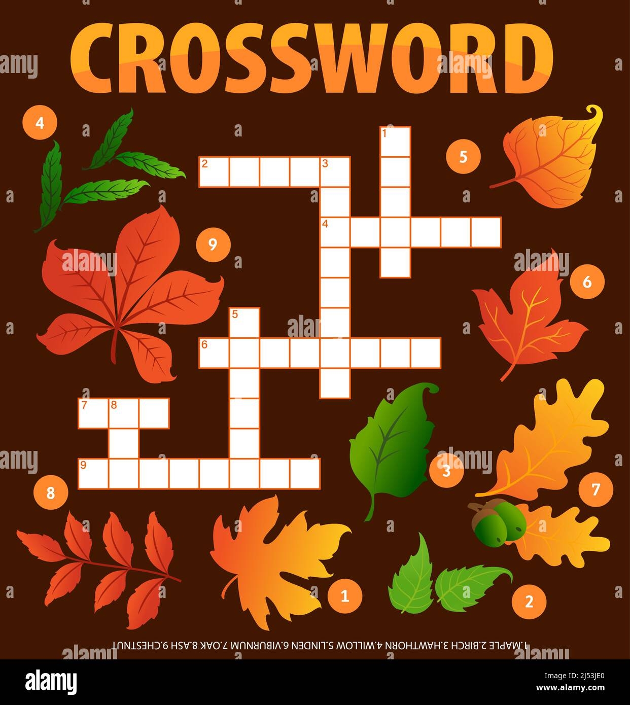 Autumn Leaves And Acorns Crossword Puzzle Worksheet Word Quiz Vector Game Find Maple Birch Hawthorn And