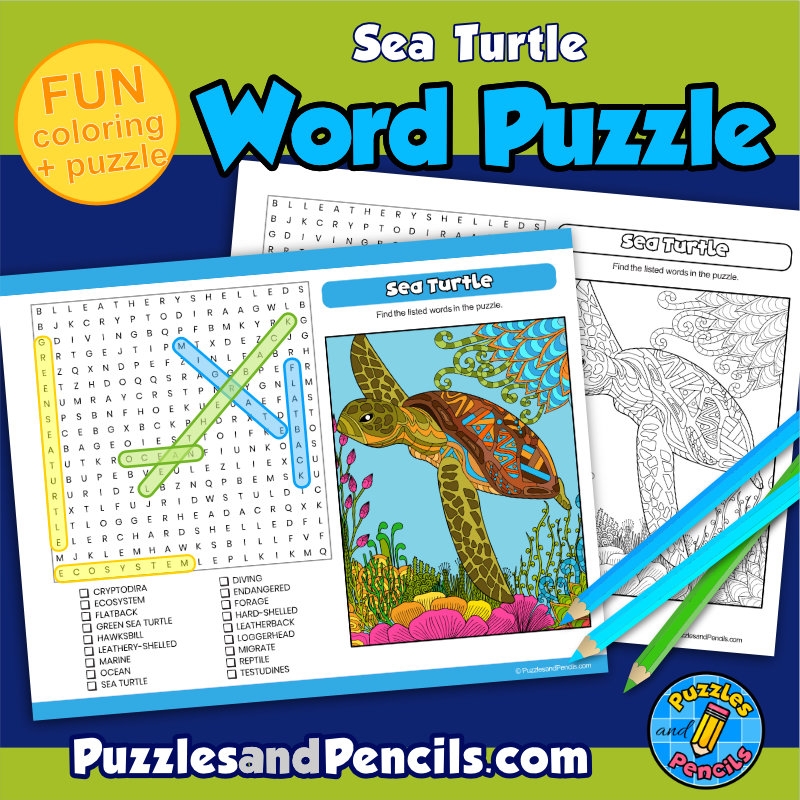 Math Puzzle Worksheets Color Turtle