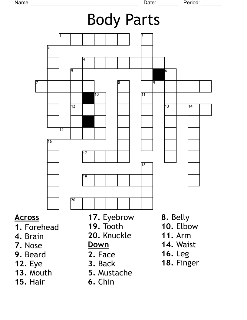 Body Parts Crossword WordMint