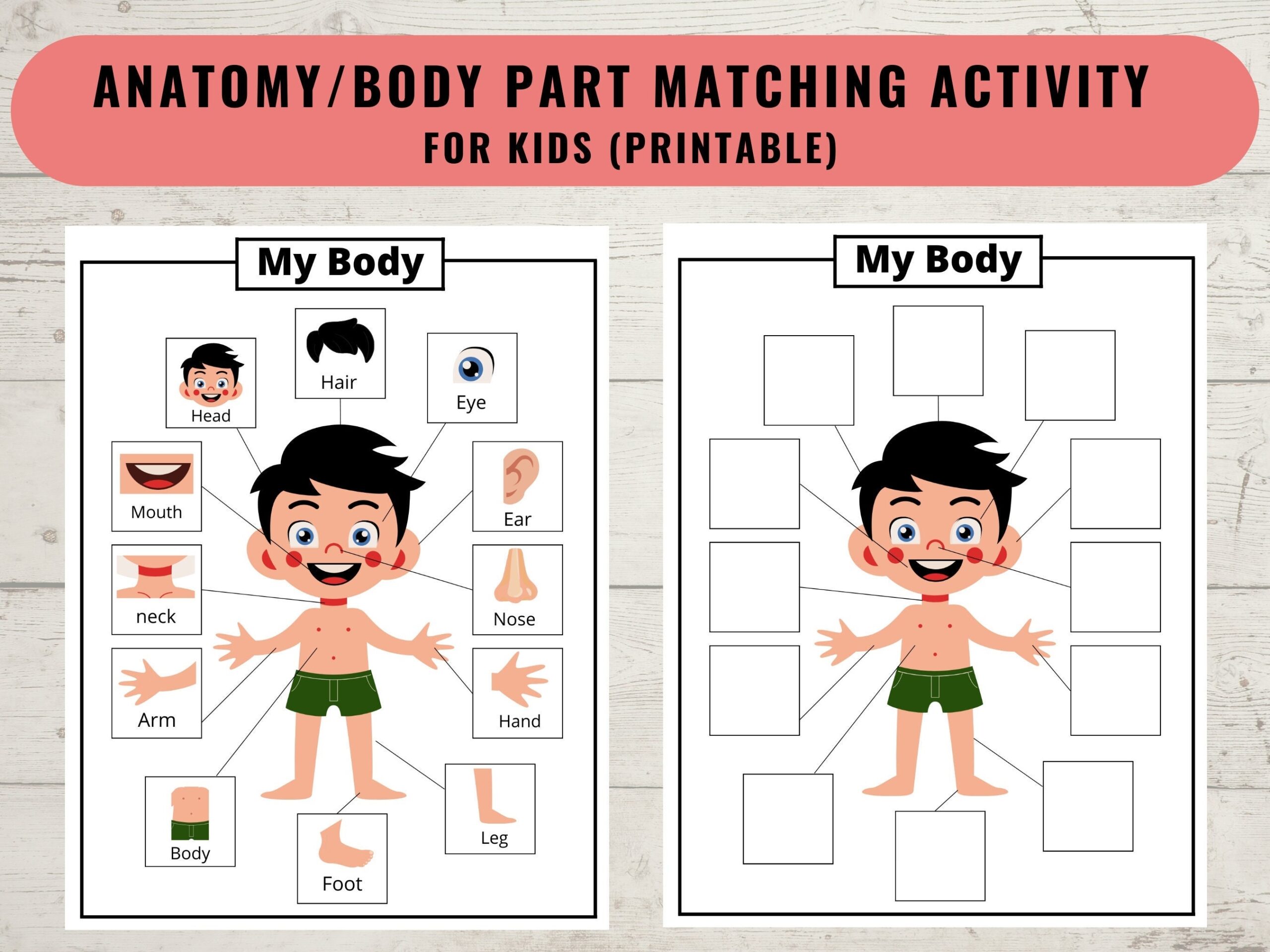 Body Parts Printable Activity For Kids Human Body Printable Matching Game U0026 Worksheet Coloring Page Homeschool Preschool Digital Download Etsy
