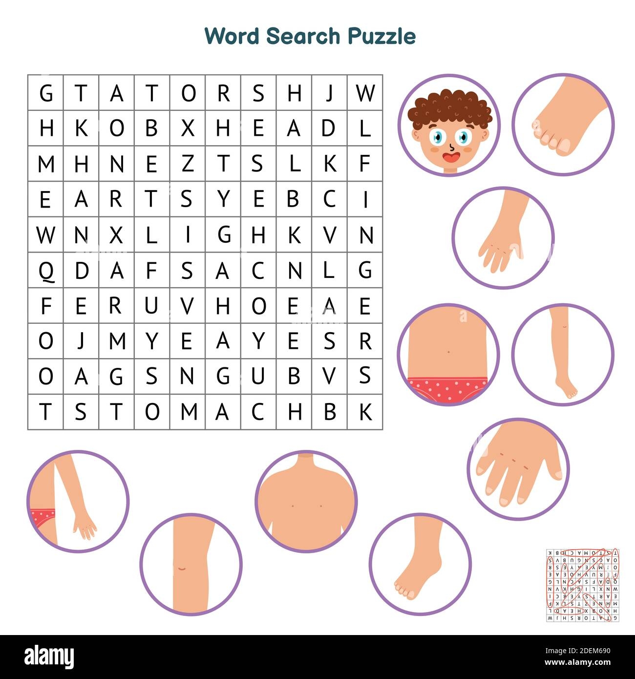 Body Parts Word Search Puzzle Educational Game For Kids Human Body Learning Worksheet Stock Vector Image U0026 Art Alamy