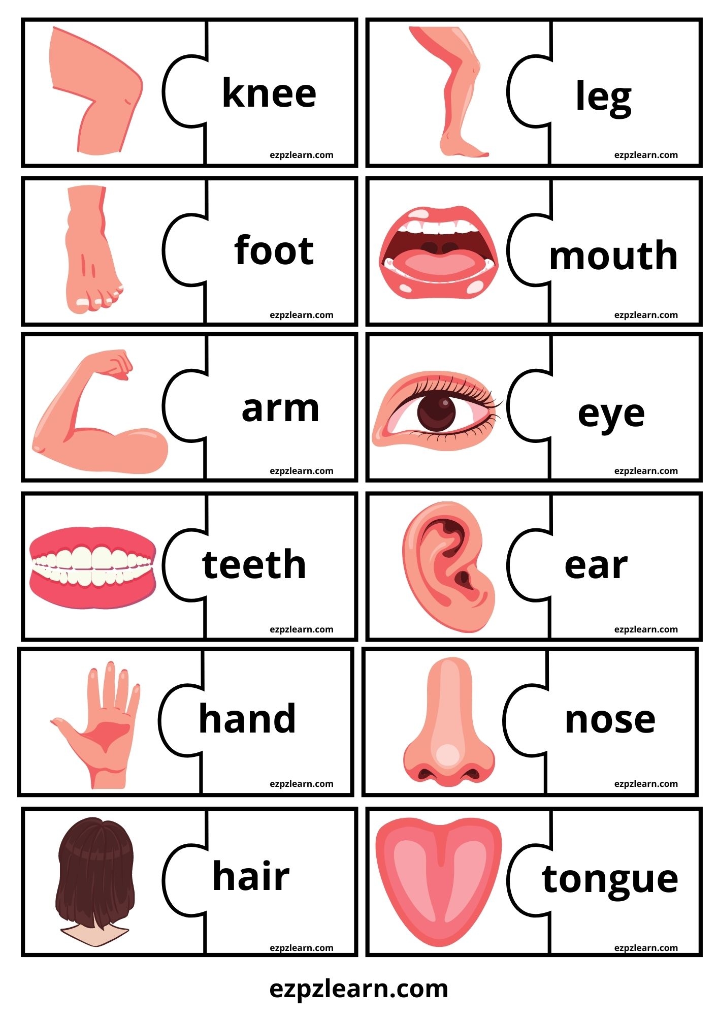 Parts Of The Body Puzzle Worksheets