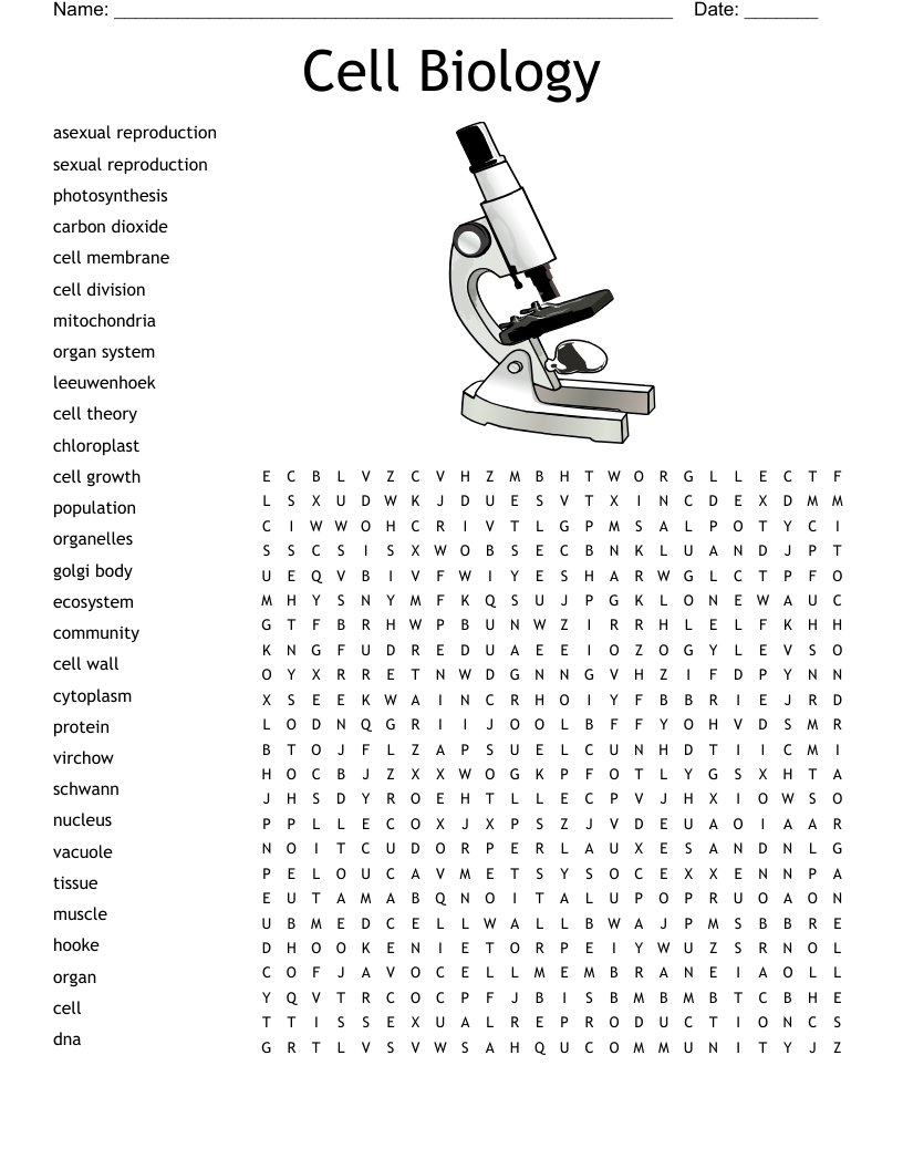 Cell Biology Word Search WordMint Worksheets Library