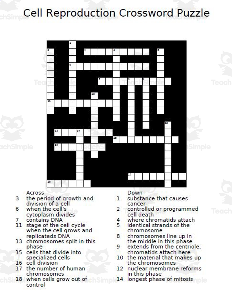 Biology Crossword Puzzle Worksheets