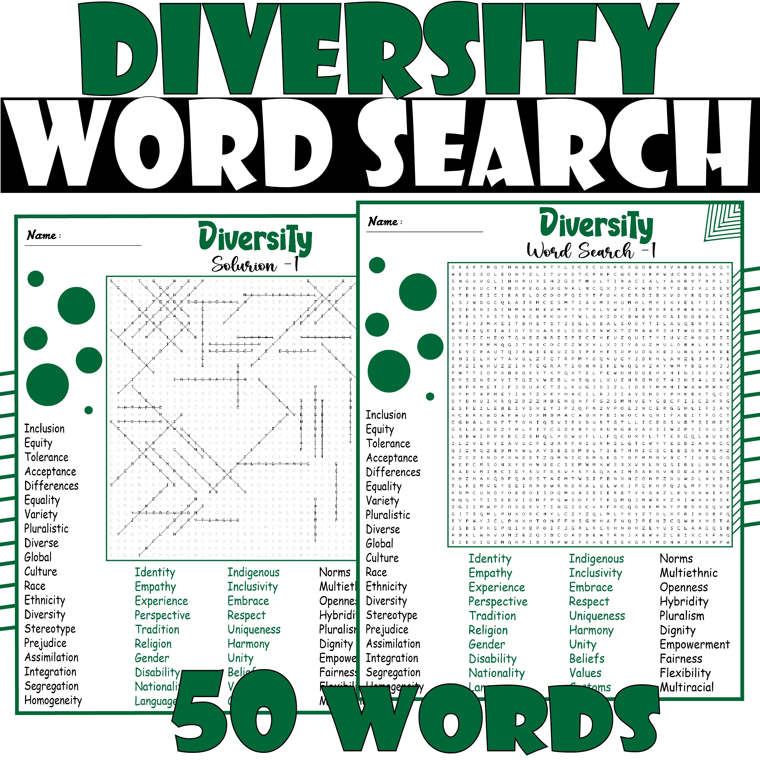 Diversity Crossword Puzzle Worksheets