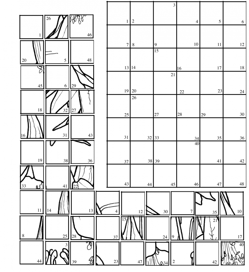 Drawing Techniques Grids Artistcoveries Worksheets Library