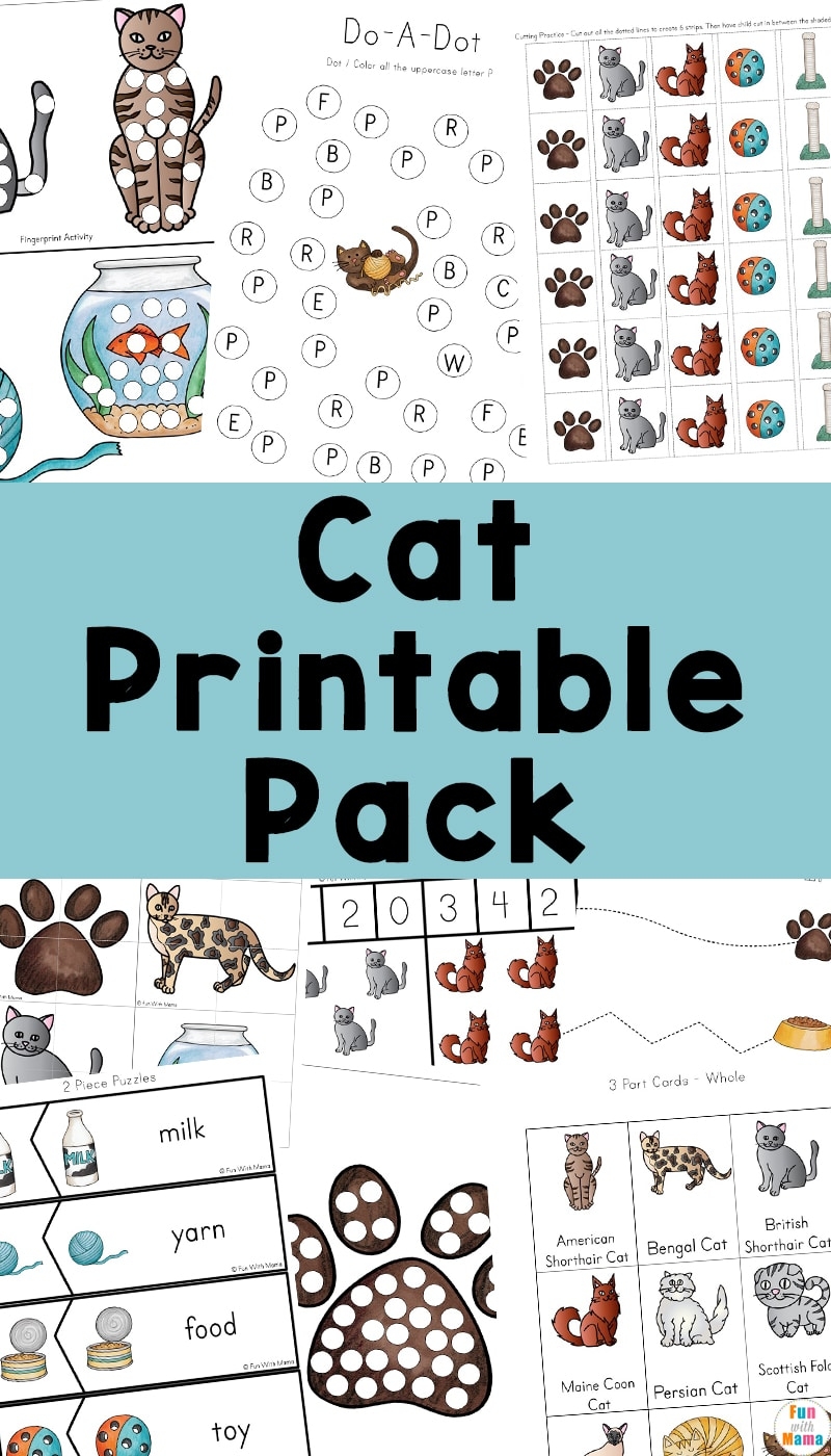 Educational And Fun Cat Printable Pack Preschool Worksheet Printable Fun With Mama