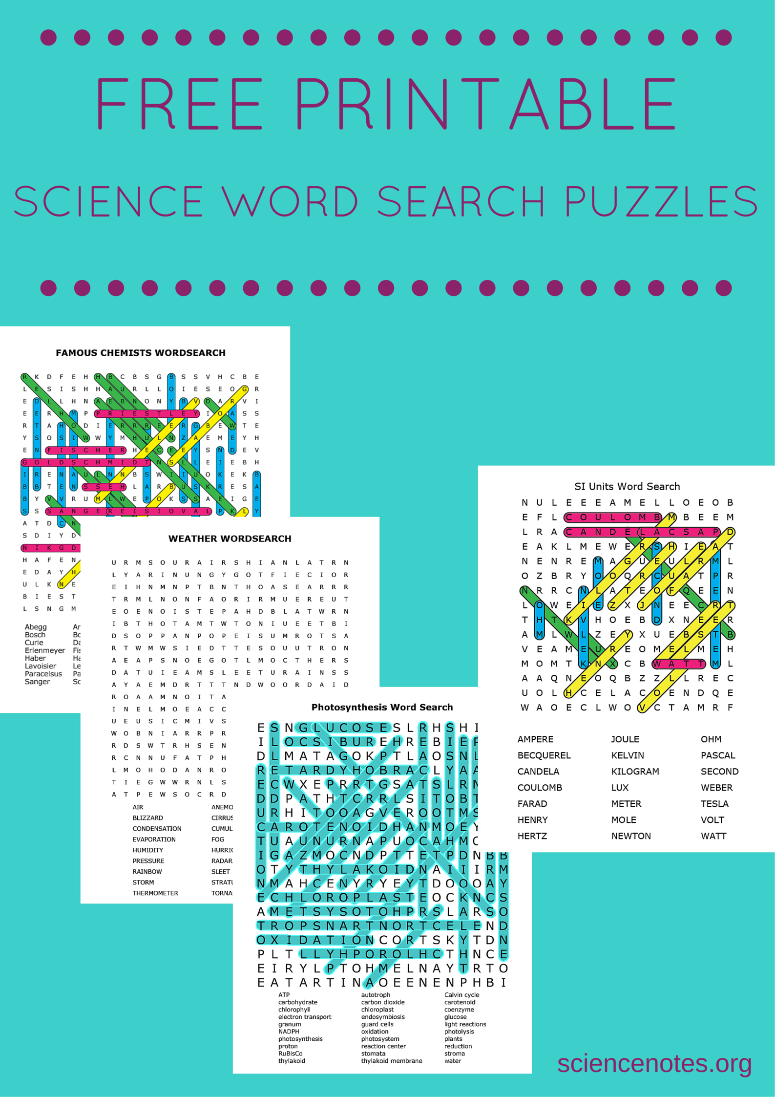 Science Puzzle Worksheets