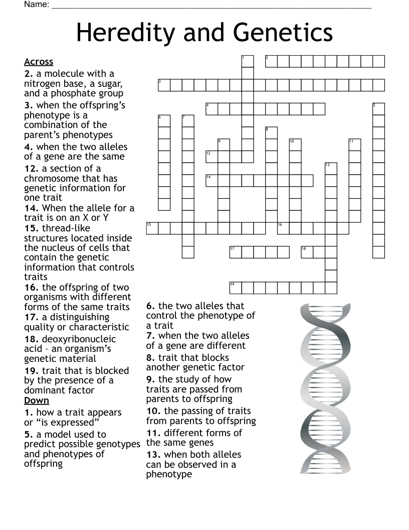 Genetics Puzzles Worksheets