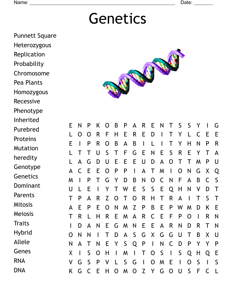 Genetics U0026 Heredity Worksheet WordMint