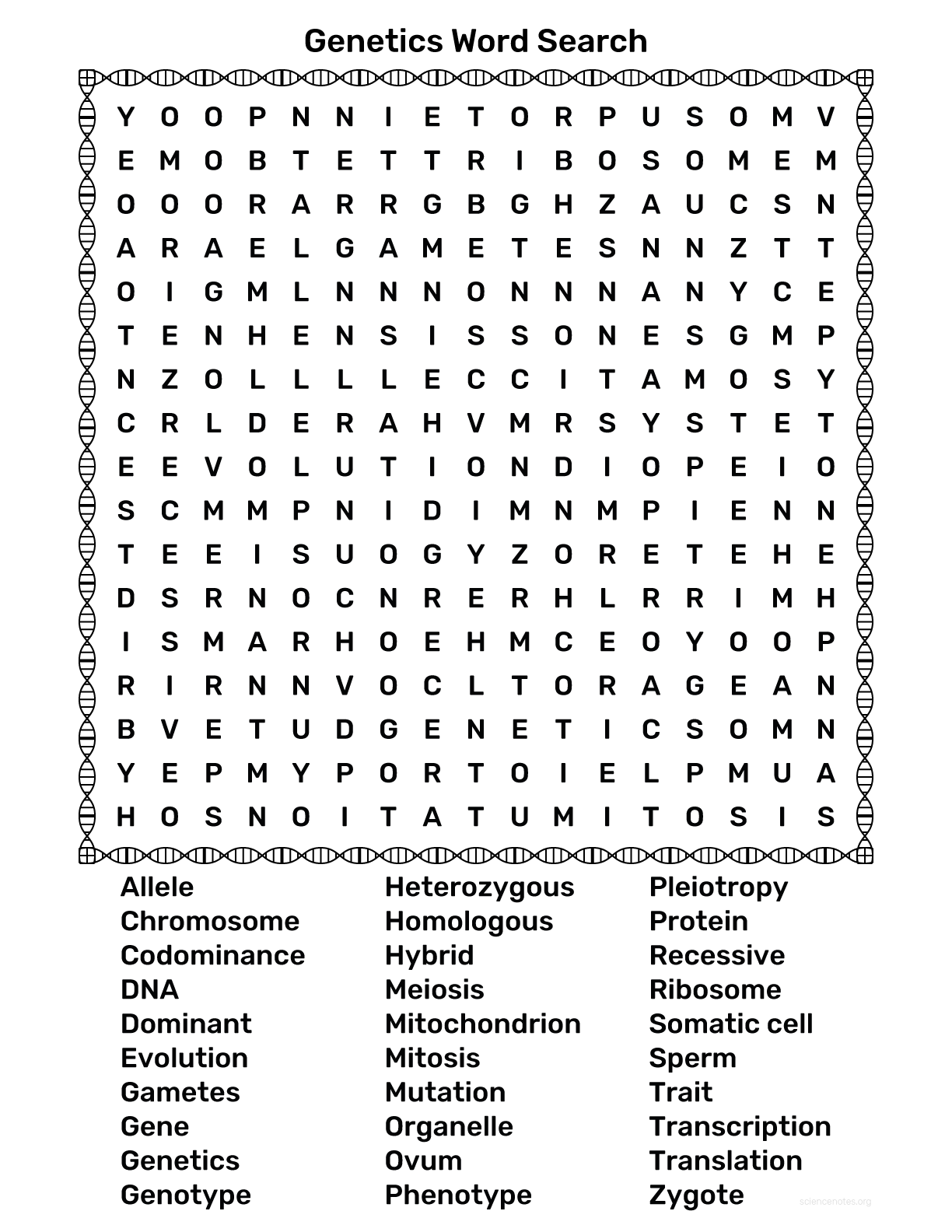 Genetics Word Search
