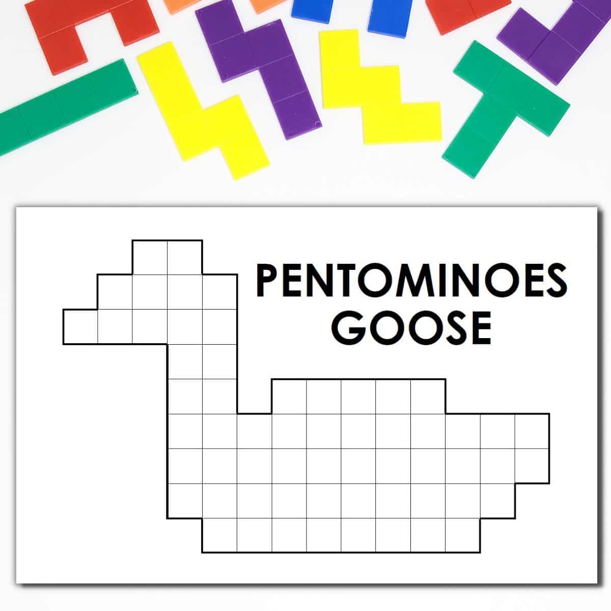 Goose Pentominoes Puzzle Math U003d Love
