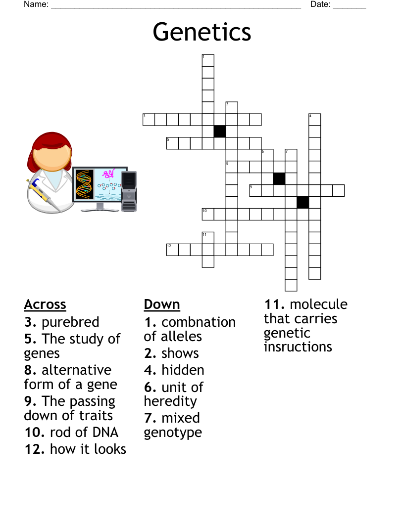 Heredity And Genetics Worksheet WordMint