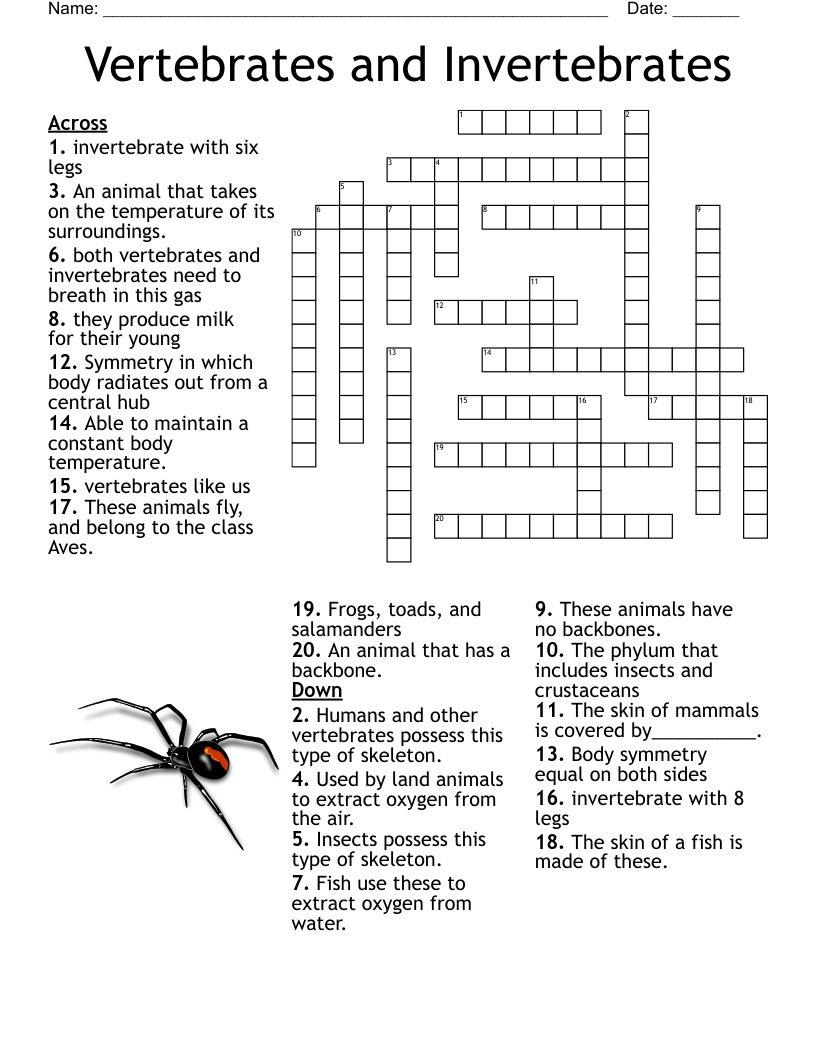 Mealworm Worksheets Crossword Puzzle