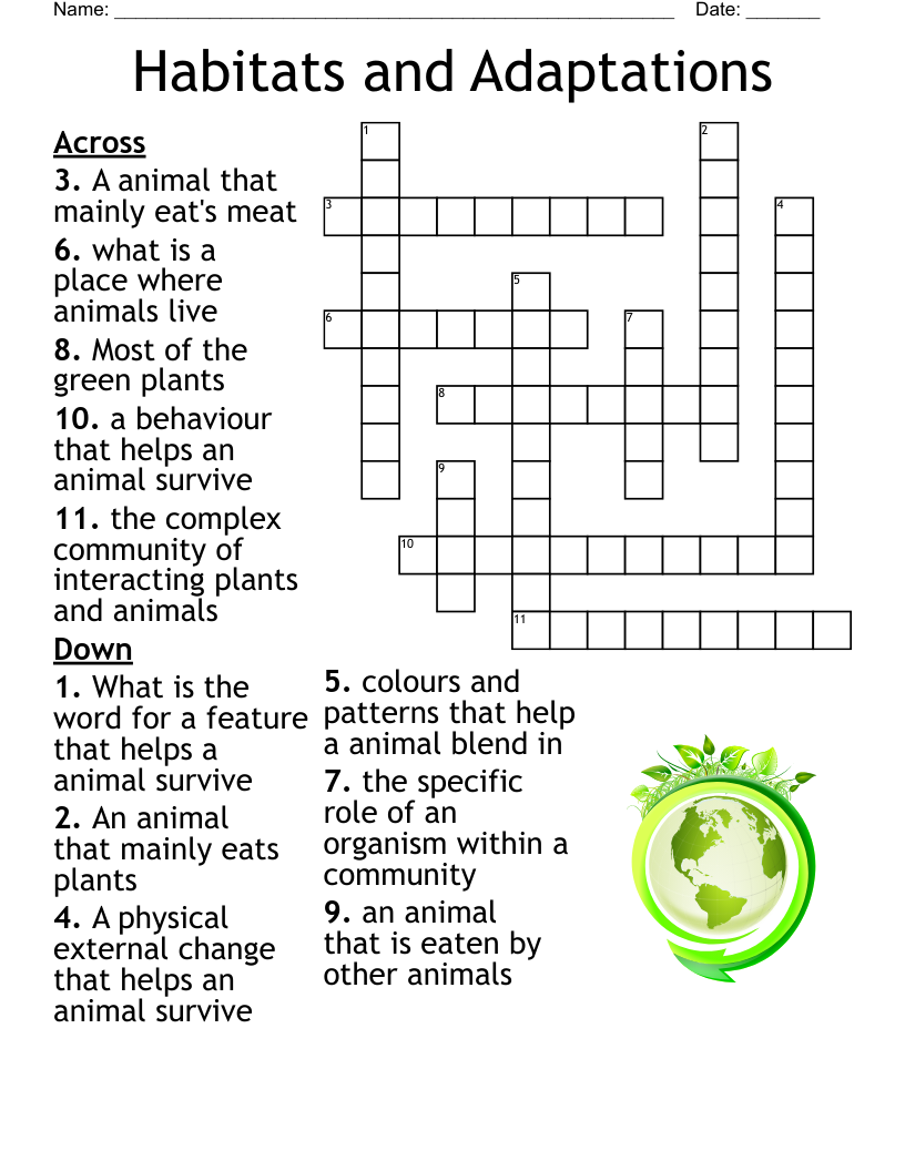 Life Cycle Crossword Puzzle WordMint