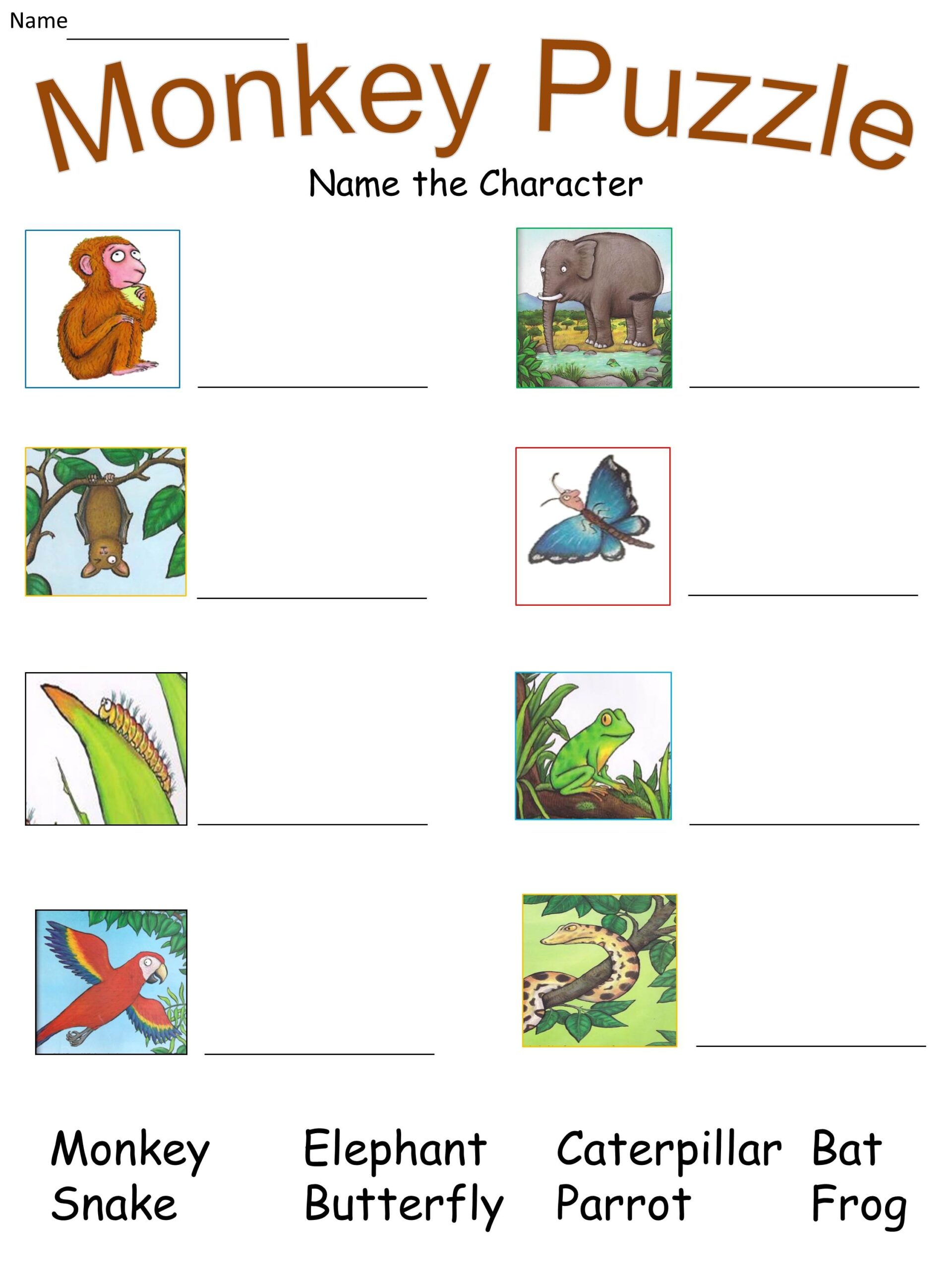 Mash U003e Julia Donaldson U003e Monkey Puzzle Lesson Pack