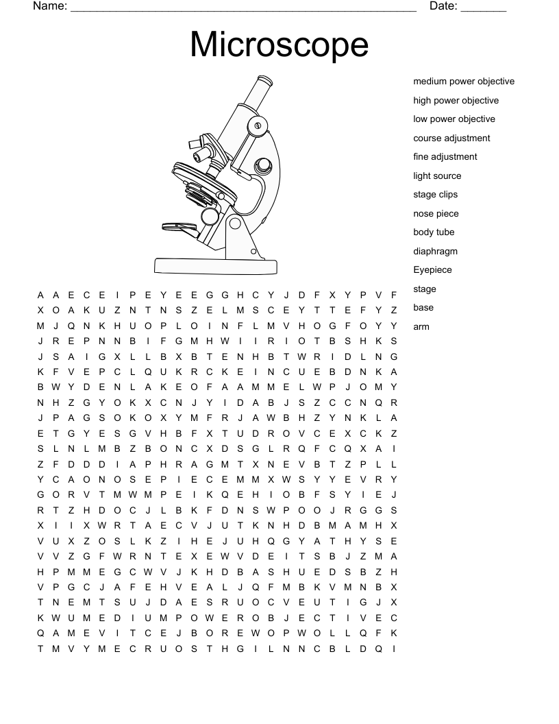 Microscope Crossword Puzzles Worksheets