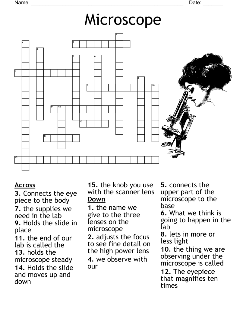 Microscope Crossword WordMint