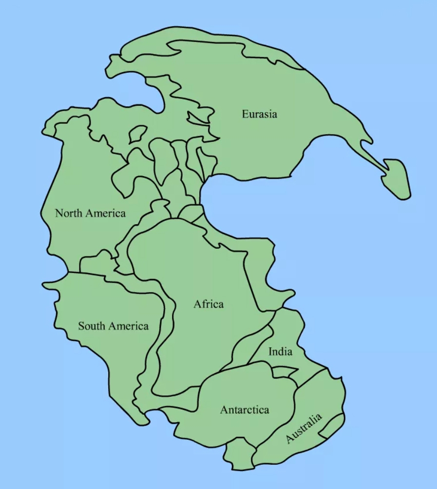 Free Worksheets Plate Tectonics Jigsaw Puzzle
