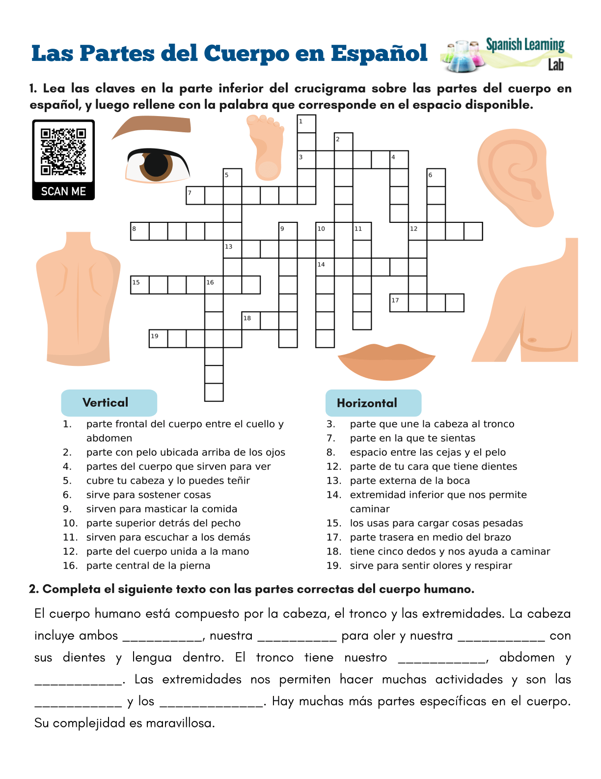 Parts Of The Body In Spanish PDF Crossword Puzzle Spanish 