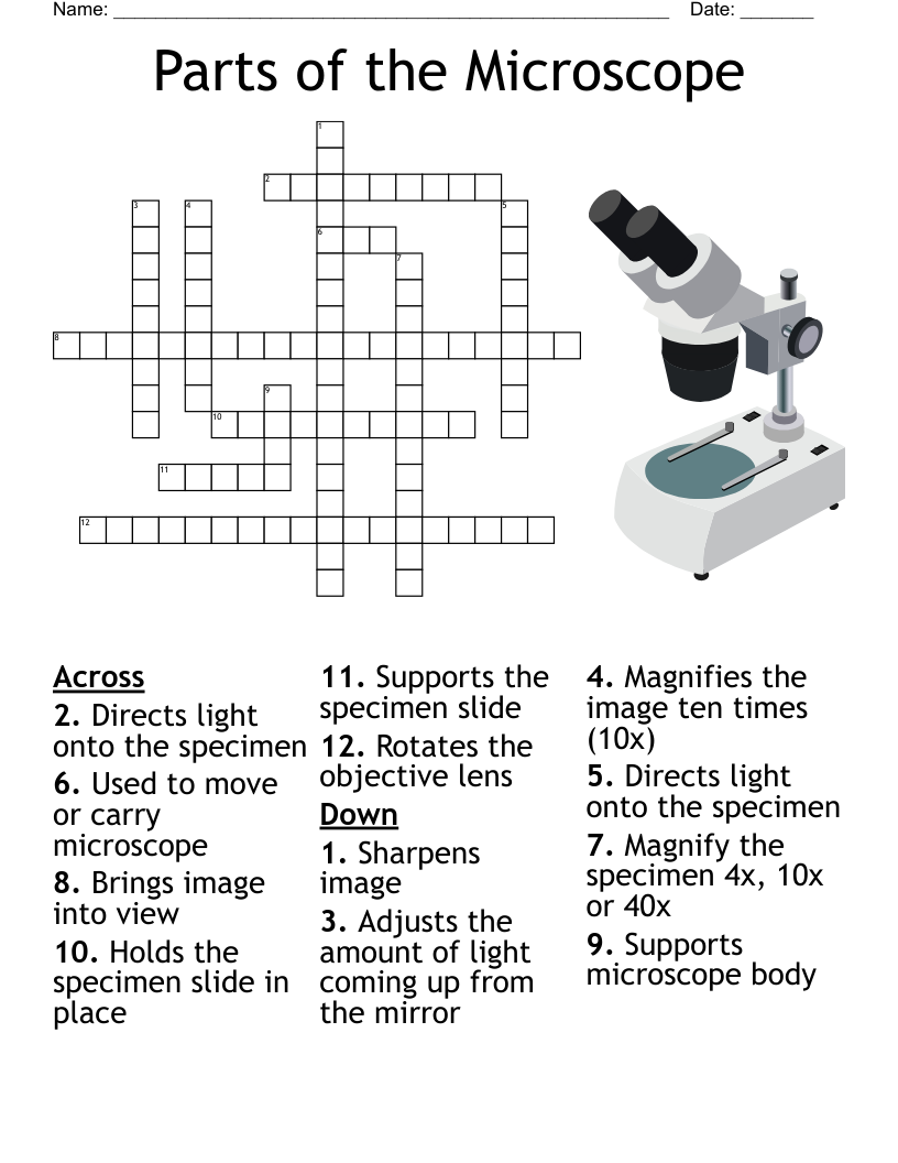 Parts Of The Microscope Crossword WordMint