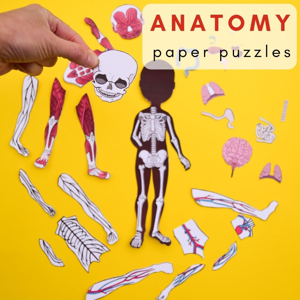 Printable Anatomy Puzzles For Kids