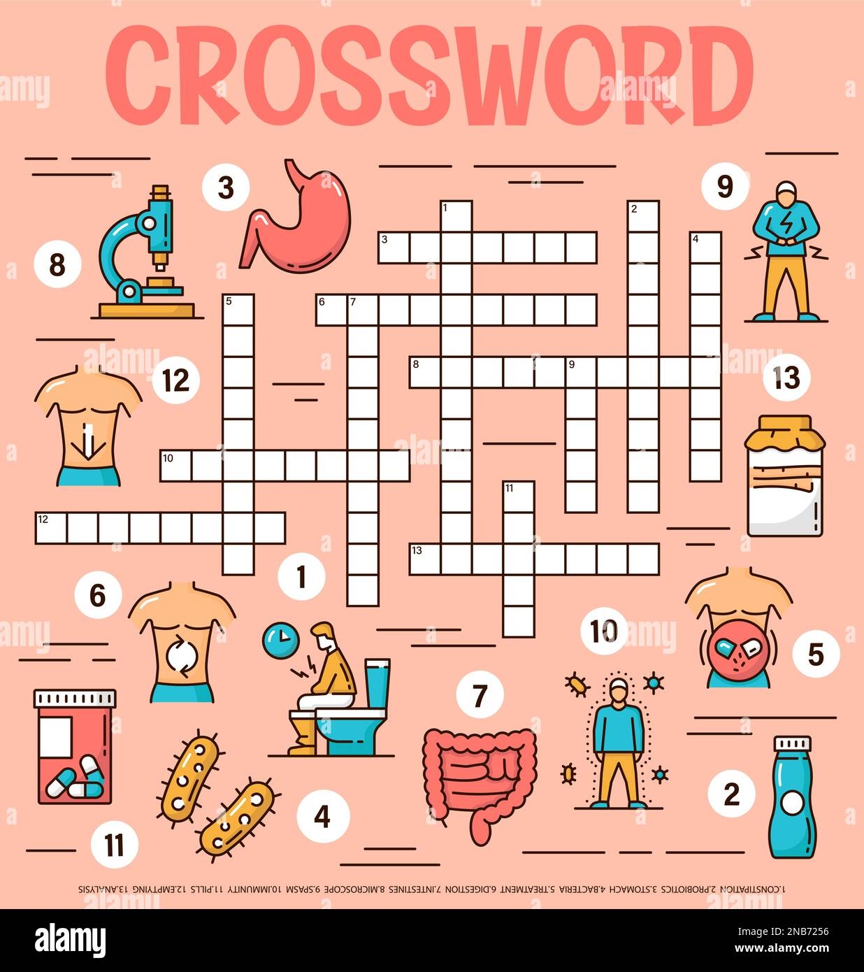 Probiotics Intestines Health Care Crossword Grid Worksheet Find A Word Quiz Vector Work Puzzle Game With Human Immunity And Digestion Treatment Symbols Stomach Microscope And Pills Bacteria Stock Vector Image U0026 Art 