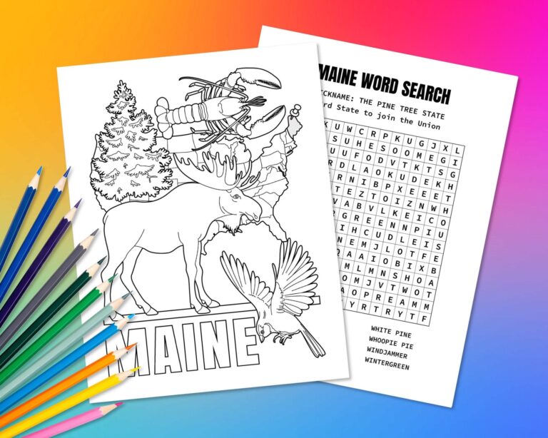 State Of Maine USA Coloring Page U0026 Word Search Puzzle Fun Geography Activity For Kids Educational Color In Map Of The United States Etsy Canada