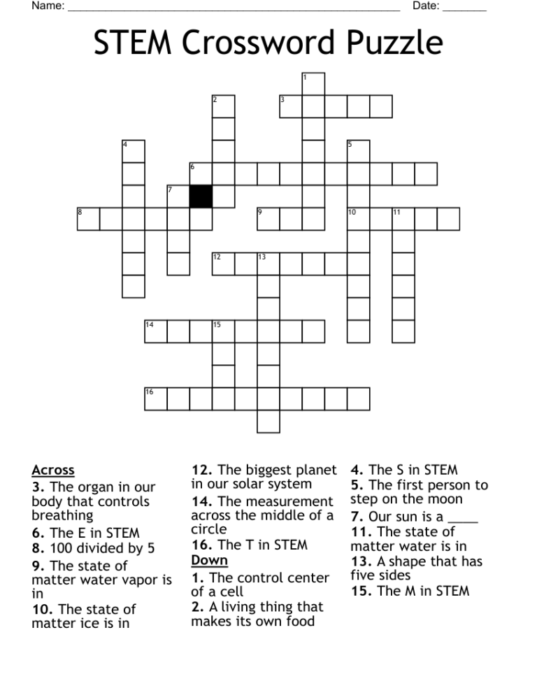 STEM Crossword Puzzle WordMint