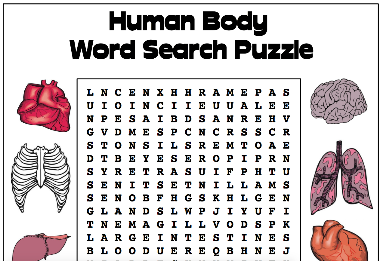 Crossword Puzzle Generator Super Teacher Worksheets