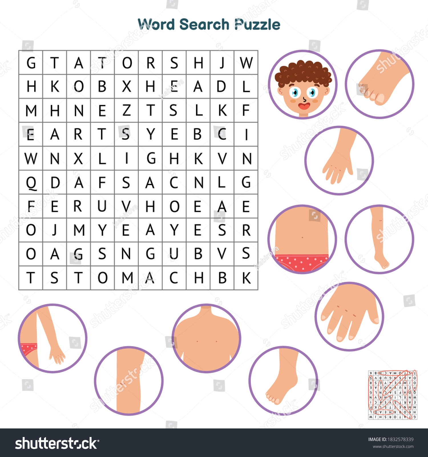 Vektor Stok Body Parts Word Search Puzzle Educational Tanpa Royalti 1832578339 Shutterstock