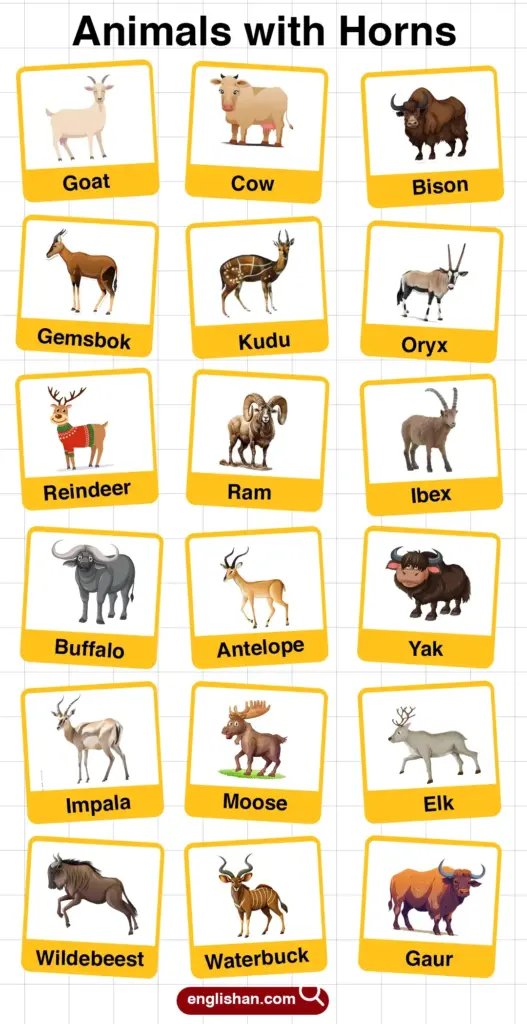 Animals With Horns Word Search - Best Word Searchs