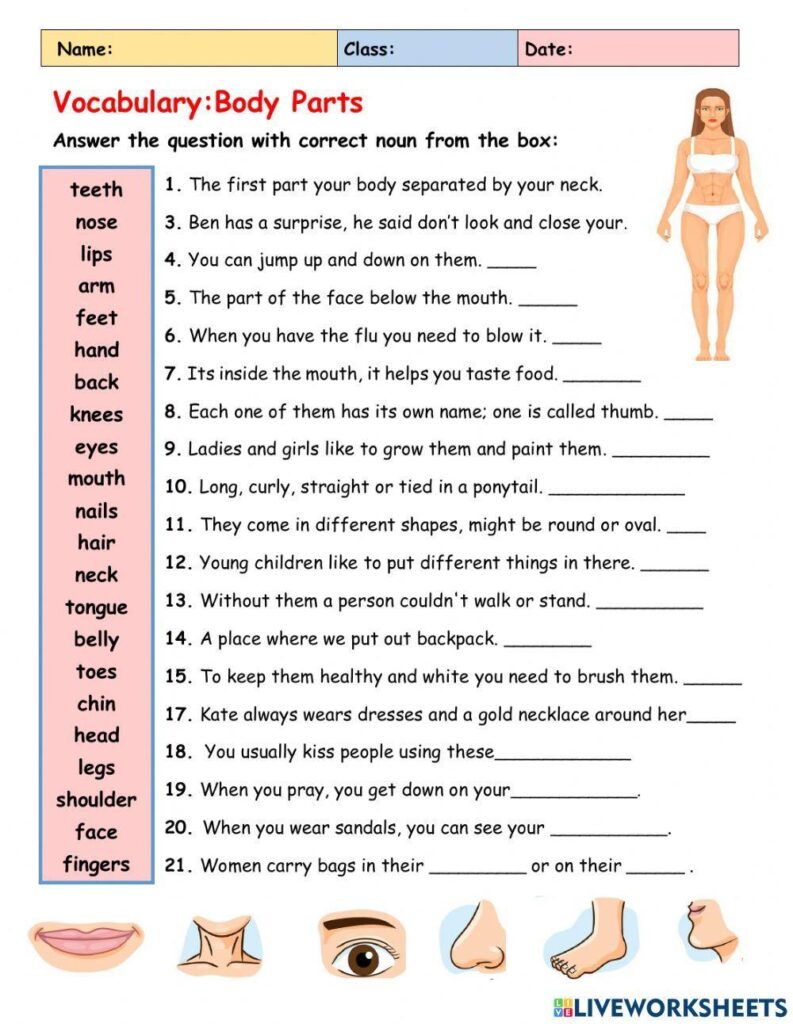 Body Parts Exercises Online : PARTIES DU CORPS EXERCISES – BYTKCK Body Parts Exercises Online : PARTIES DU CORPS EXERCISES – BYTKCK