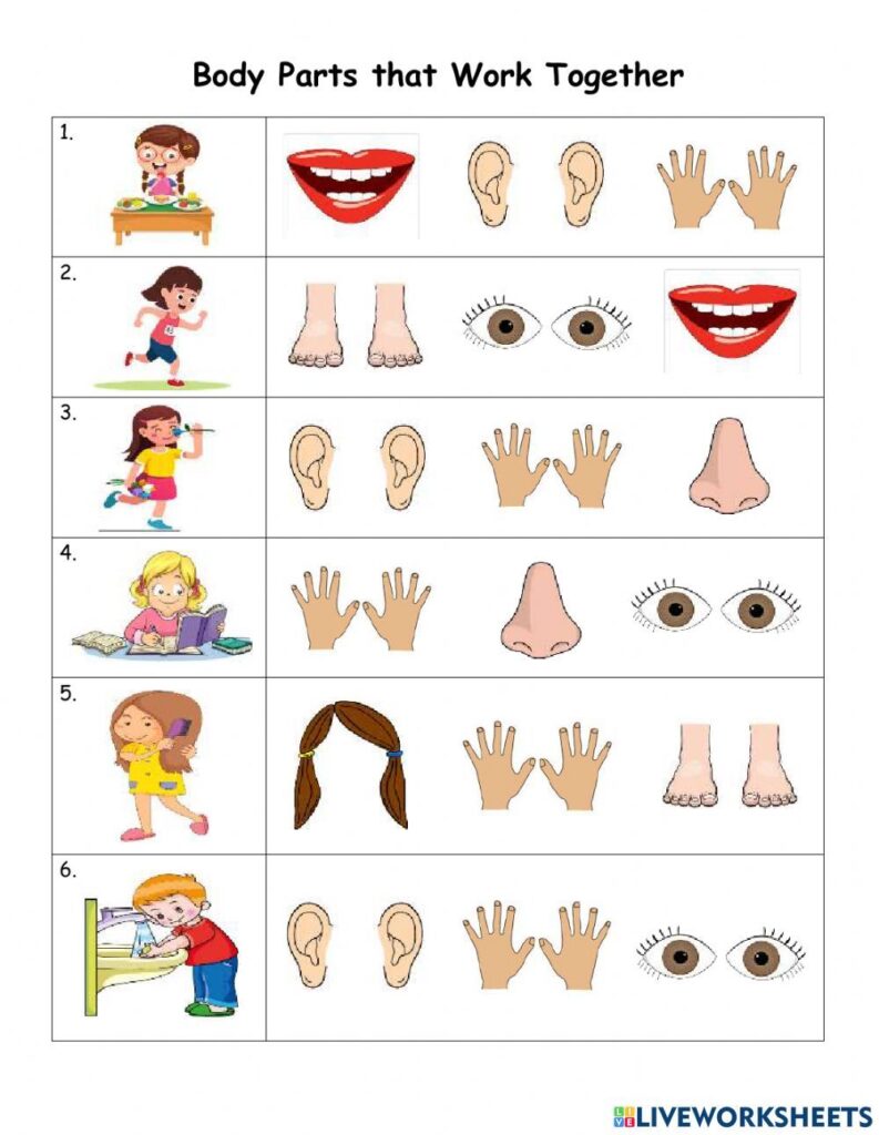 Body Parts that Work Together interactive worksheet | Kids learning … Body Parts that Work Together interactive worksheet | Kids learning ...