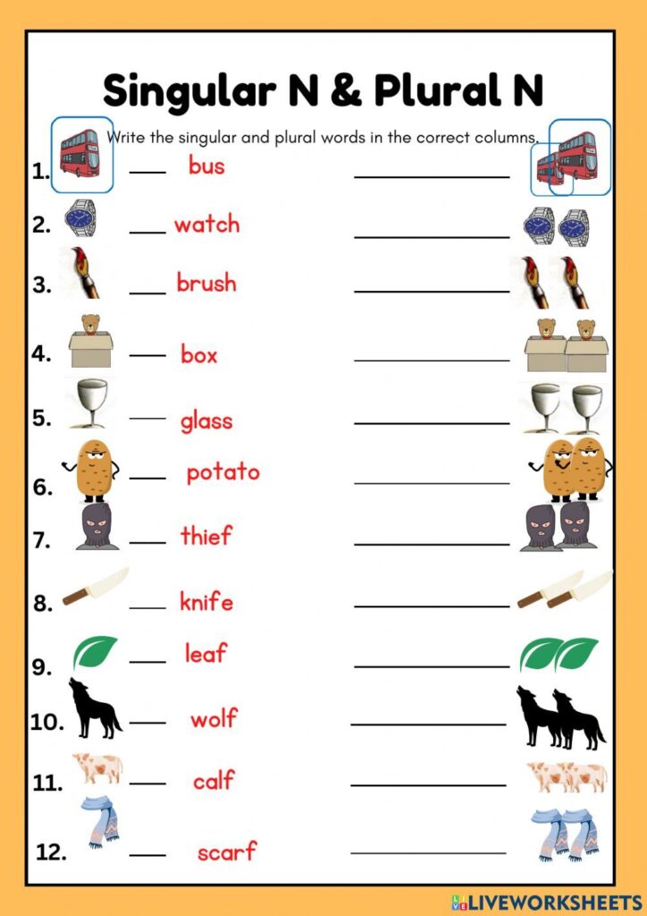 English grammar singular plural nouns worksheet 3 – Artofit