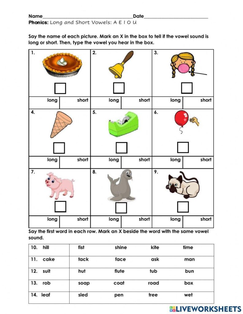 Long Vs Short Vowel Worksheets Long Vs Short Vowel Worksheets