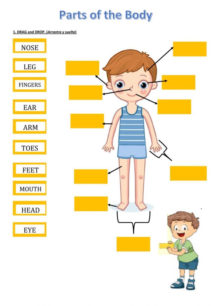 Parts of the Body online exercise for 1st Children | My body parts for … Parts of the Body online exercise for 1st Children | My body parts for ...