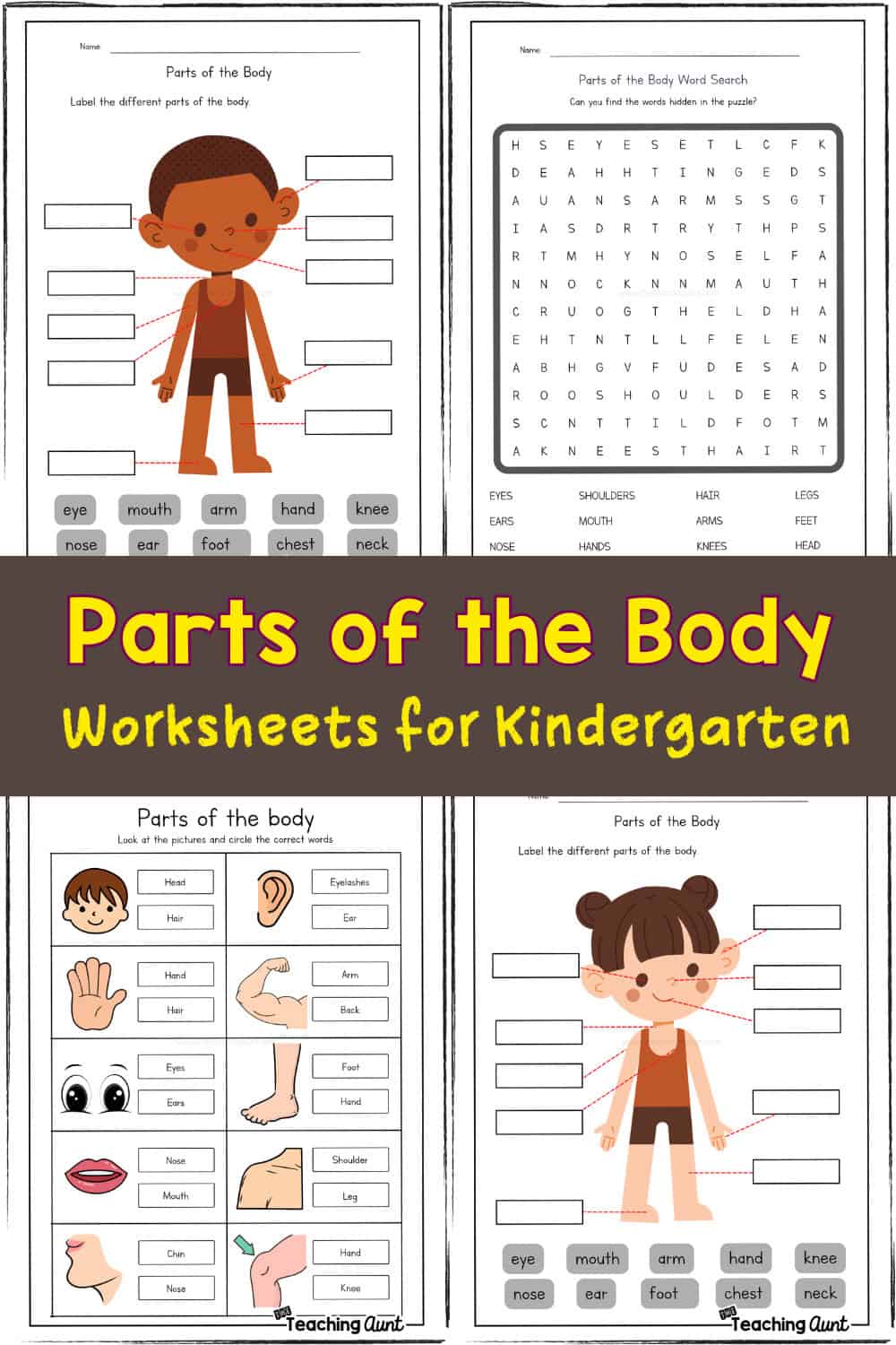 Parts Of The Body Worksheets - Body Part Worksheets Body Part Worksheets For Kids