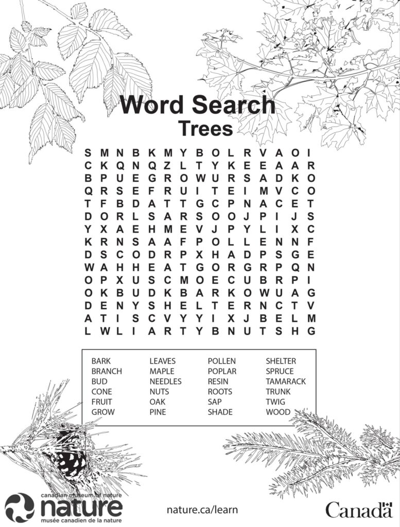 Word Search: Trees - Canadian Museum of Nature